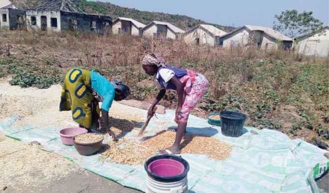Women in agribusiness