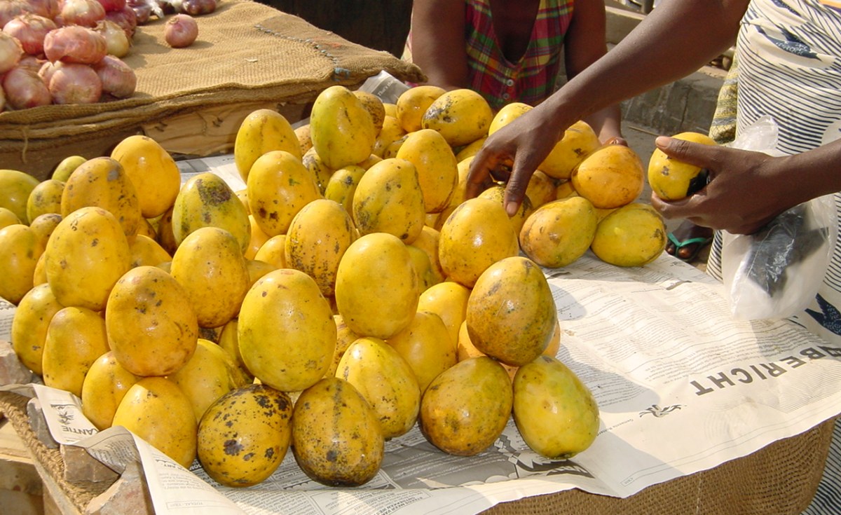 Mangoes