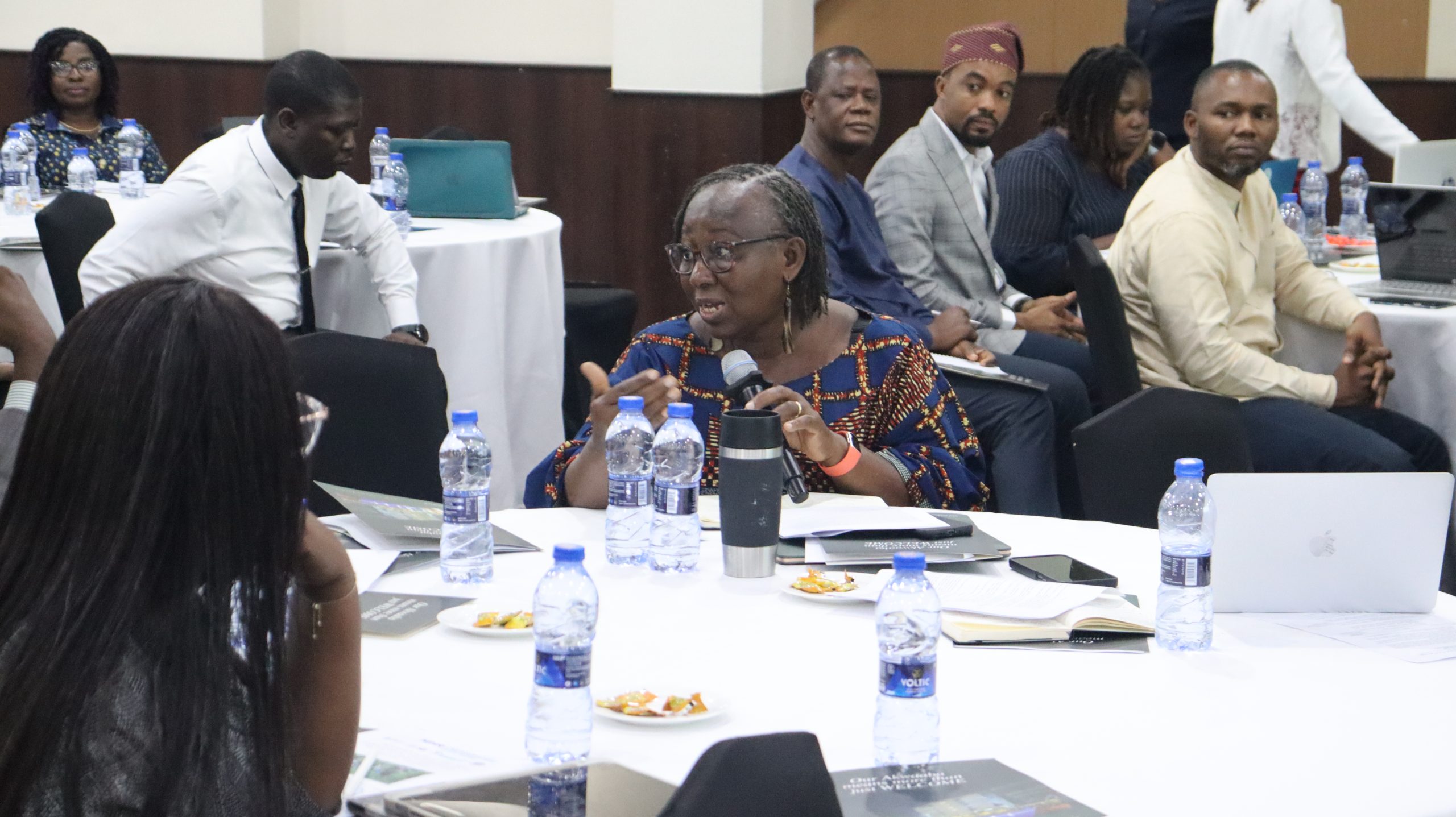 Professor Irene A. Agyepong, Chair of the Faculty of Public Health at GCPS and Co-Director of the STOP NCD Research Centre